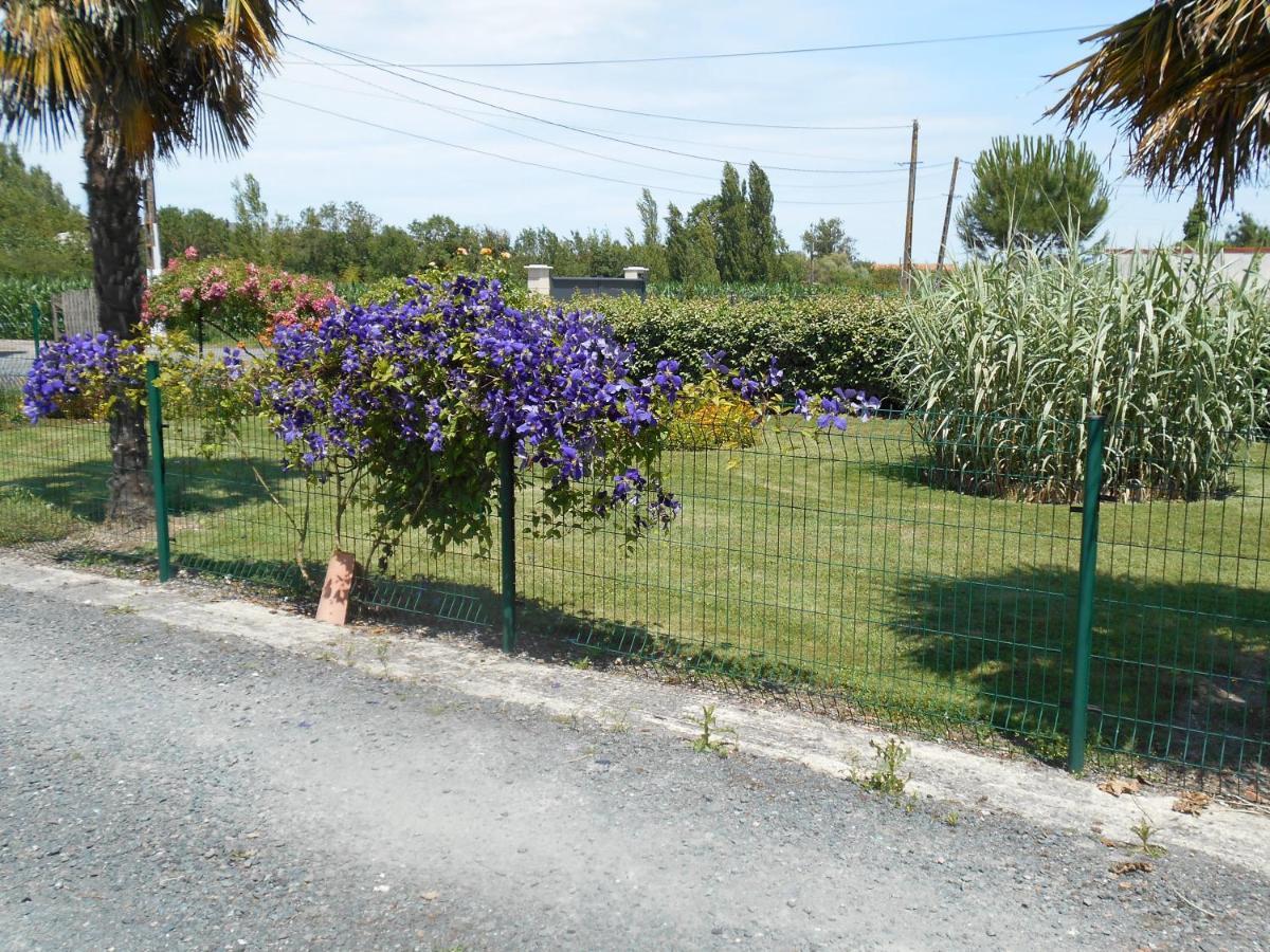 Marais Poitevin Bord Riviere Peche ,Barque, Velos, Wifi, Linge, Cheminee, Cuisine, Terrain De Boules La Taillee ภายนอก รูปภาพ