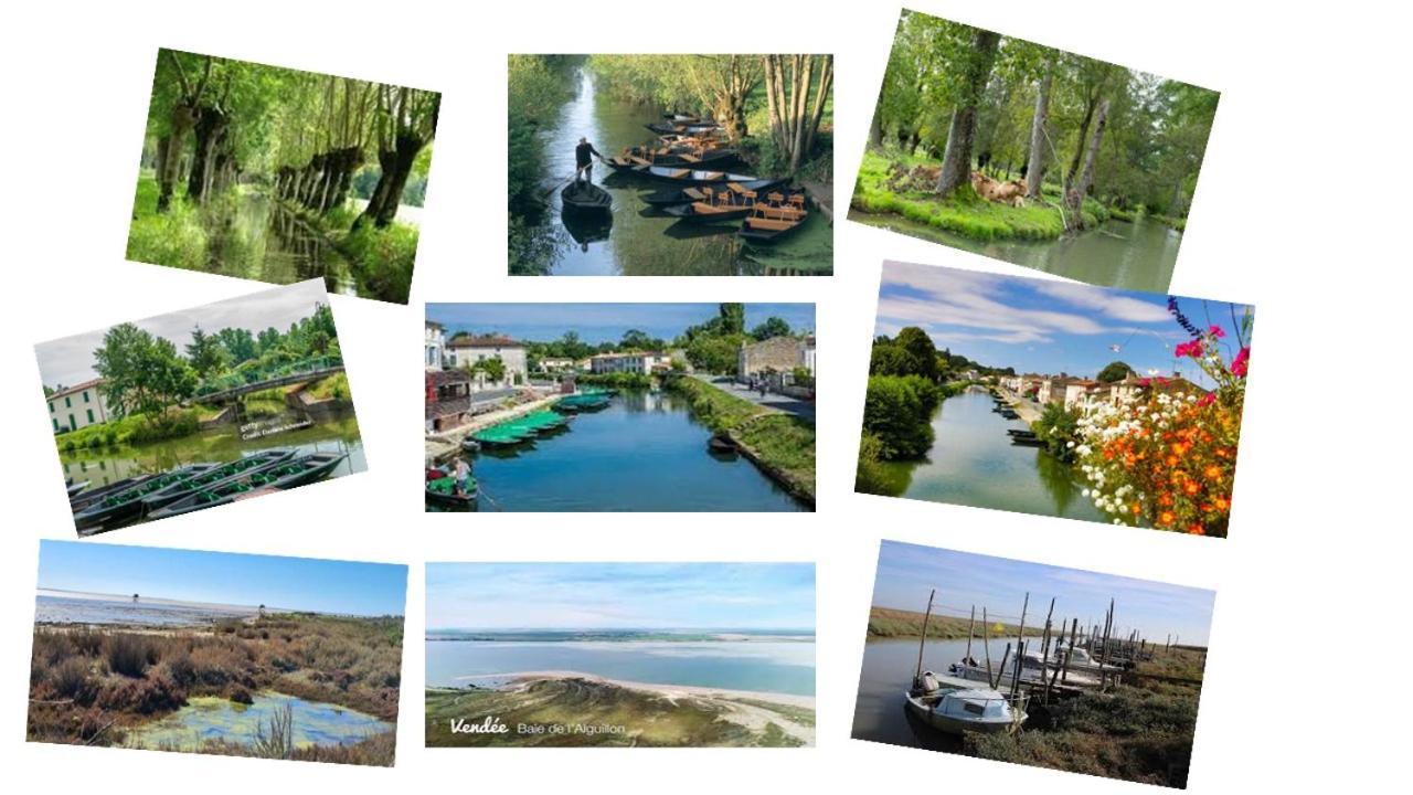 Marais Poitevin Bord Riviere Peche ,Barque, Velos, Wifi, Linge, Cheminee, Cuisine, Terrain De Boules La Taillee ภายนอก รูปภาพ